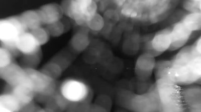 immagine della webcam nei dintorni di Ladispoli: webcam Bracciano