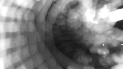immagine della webcam nei dintorni di Civita Castellana: webcam Bracciano