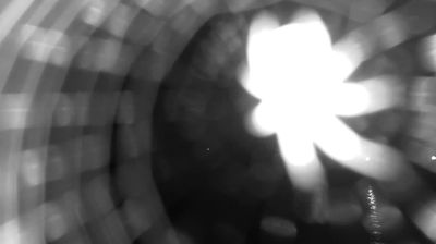 immagine della webcam nei dintorni di Caprarola: webcam Bracciano