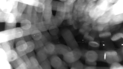 immagine della webcam nei dintorni di Monterosi: webcam Bracciano