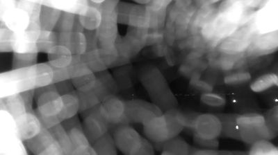 immagine della webcam nei dintorni di Santa Severa: webcam Bracciano