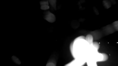 immagine della webcam nei dintorni di Santa Severa: webcam Bracciano