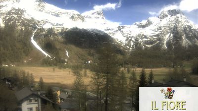 immagine della webcam nei dintorni di Bognanco fonti: webcam Alpe Devero