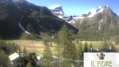 immagine della webcam nei dintorni di Riale: webcam Alpe Devero