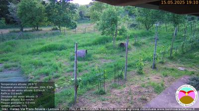 webcam