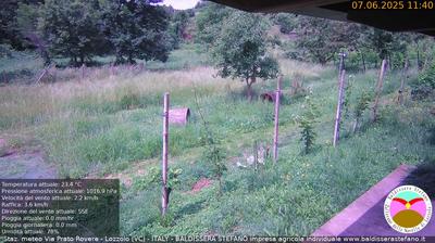immagine della webcam nei dintorni di Vaprio d'Agogna: webcam Lozzolo