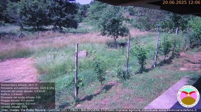 immagine della webcam nei dintorni di Fontaneto d'Agogna: webcam Lozzolo