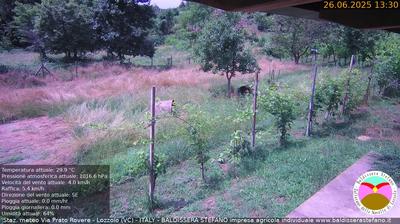 immagine della webcam nei dintorni di Novara: webcam Lozzolo