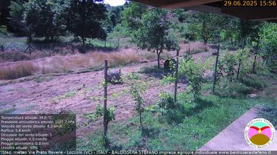 immagine della webcam nei dintorni di Novara: webcam Lozzolo