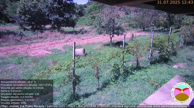 immagine della webcam nei dintorni di Novara: webcam Lozzolo