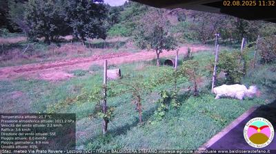 immagine della webcam nei dintorni di Vaprio d'Agogna: webcam Lozzolo