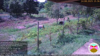immagine della webcam nei dintorni di Novara: webcam Lozzolo
