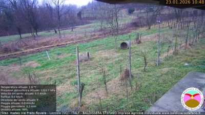 immagine della webcam nei dintorni di Grignasco: webcam Lozzolo