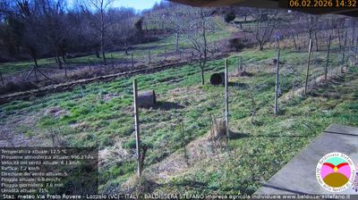 immagine della webcam nei dintorni di Fontaneto d'Agogna: webcam Lozzolo