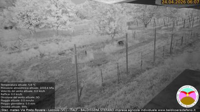 immagine della webcam nei dintorni di Briga Novarese: webcam Lozzolo