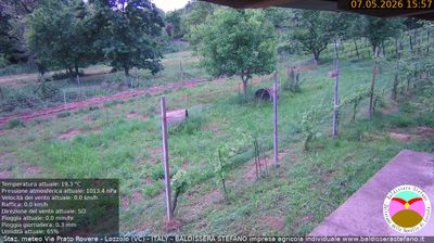 immagine della webcam nei dintorni di Grignasco: webcam Lozzolo