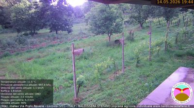 immagine della webcam nei dintorni di Cavaglio d'Agogna: webcam Lozzolo