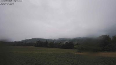 immagine della webcam nei dintorni di Nevegal: webcam San Gregorio nelle Alpi