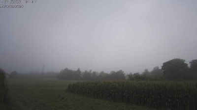 immagine della webcam nei dintorni di Nevegal: webcam San Gregorio nelle Alpi