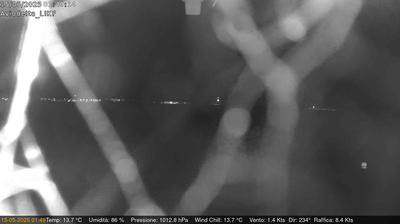 webcam
