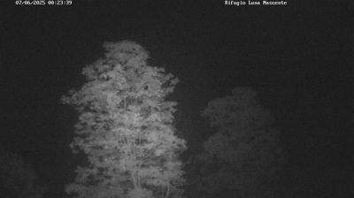 immagine della webcam nei dintorni di Val Masino: webcam Valmasino