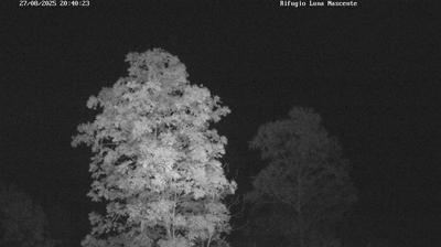 immagine della webcam nei dintorni di Chiesa in Valmalenco: webcam Valmasino