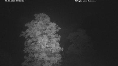 immagine della webcam nei dintorni di Talamona: webcam Val Masino