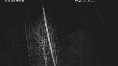 immagine della webcam nei dintorni di Rasura: webcam Val Masino