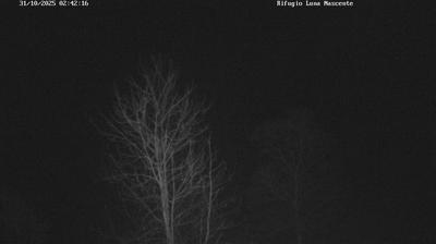 immagine della webcam nei dintorni di Pizzo Bernina: webcam Valmasino