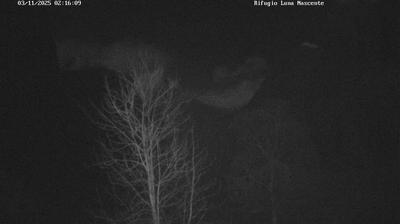 immagine della webcam nei dintorni di Albaredo per San Marco: webcam Val Masino