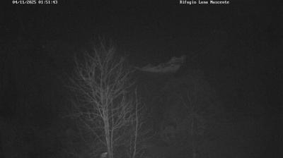 immagine della webcam nei dintorni di Menarola: webcam Val Masino