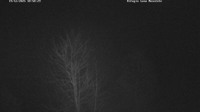 immagine della webcam nei dintorni di Menarola: webcam Val Masino