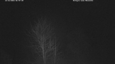 immagine della webcam nei dintorni di Sondrio: webcam Valmasino