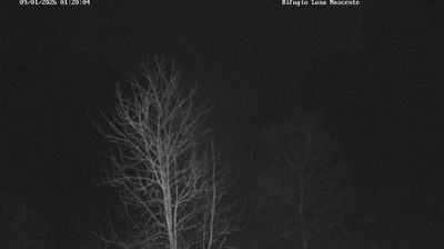 immagine della webcam nei dintorni di Montagna in Valtellina: webcam Valmasino