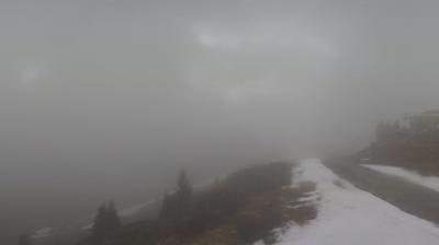 Preview delle webcam di Dimaro Folgarida: Folgarida - Monte Vigo