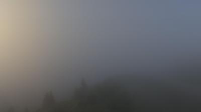 immagine della webcam nei dintorni di Madonna di Campiglio: webcam Marilleva
