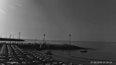immagine della webcam nei dintorni di Andora: webcam Marina Di Andora