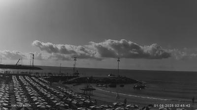 immagine della webcam nei dintorni di Diano Marina: webcam Marina Di Andora