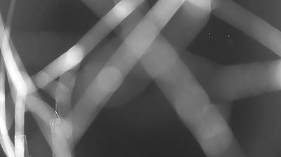 immagine della webcam nei dintorni di Fondi: webcam Frasso