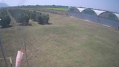 immagine della webcam nei dintorni di Terracina: webcam Frasso