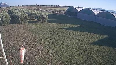 immagine della webcam nei dintorni di Sabaudia: webcam Frasso
