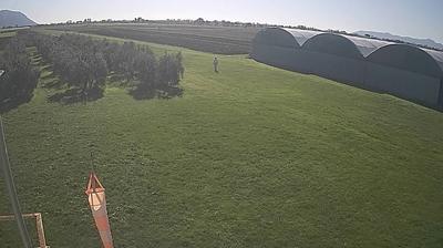 immagine della webcam nei dintorni di Pico: webcam Frasso