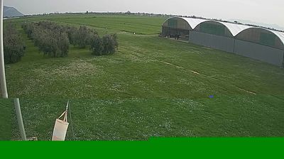 immagine della webcam nei dintorni di Pico: webcam Frasso