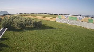 immagine della webcam nei dintorni di Sabaudia: webcam Frasso