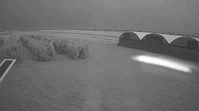 immagine della webcam nei dintorni di Terracina: webcam Frasso