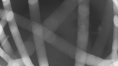 immagine della webcam nei dintorni di Giuliano di Roma: webcam Frasso