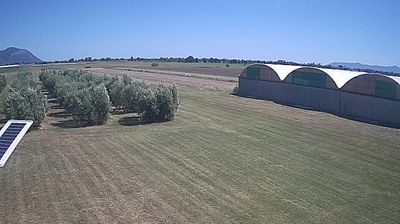 immagine della webcam nei dintorni di San Felice Circeo: webcam Frasso