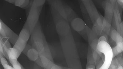 immagine della webcam nei dintorni di Pico: webcam Frasso