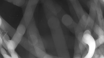 immagine della webcam nei dintorni di Tor Tre Ponti: webcam Frasso
