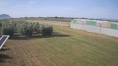 immagine della webcam nei dintorni di Sezze: webcam Frasso